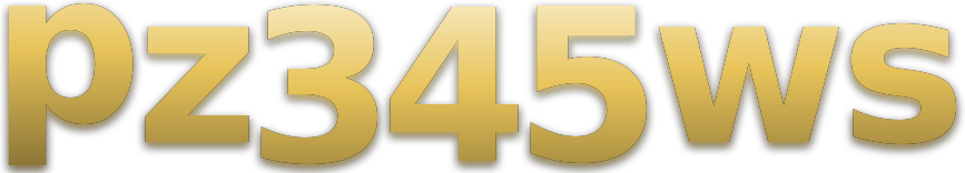 pz345ws logo